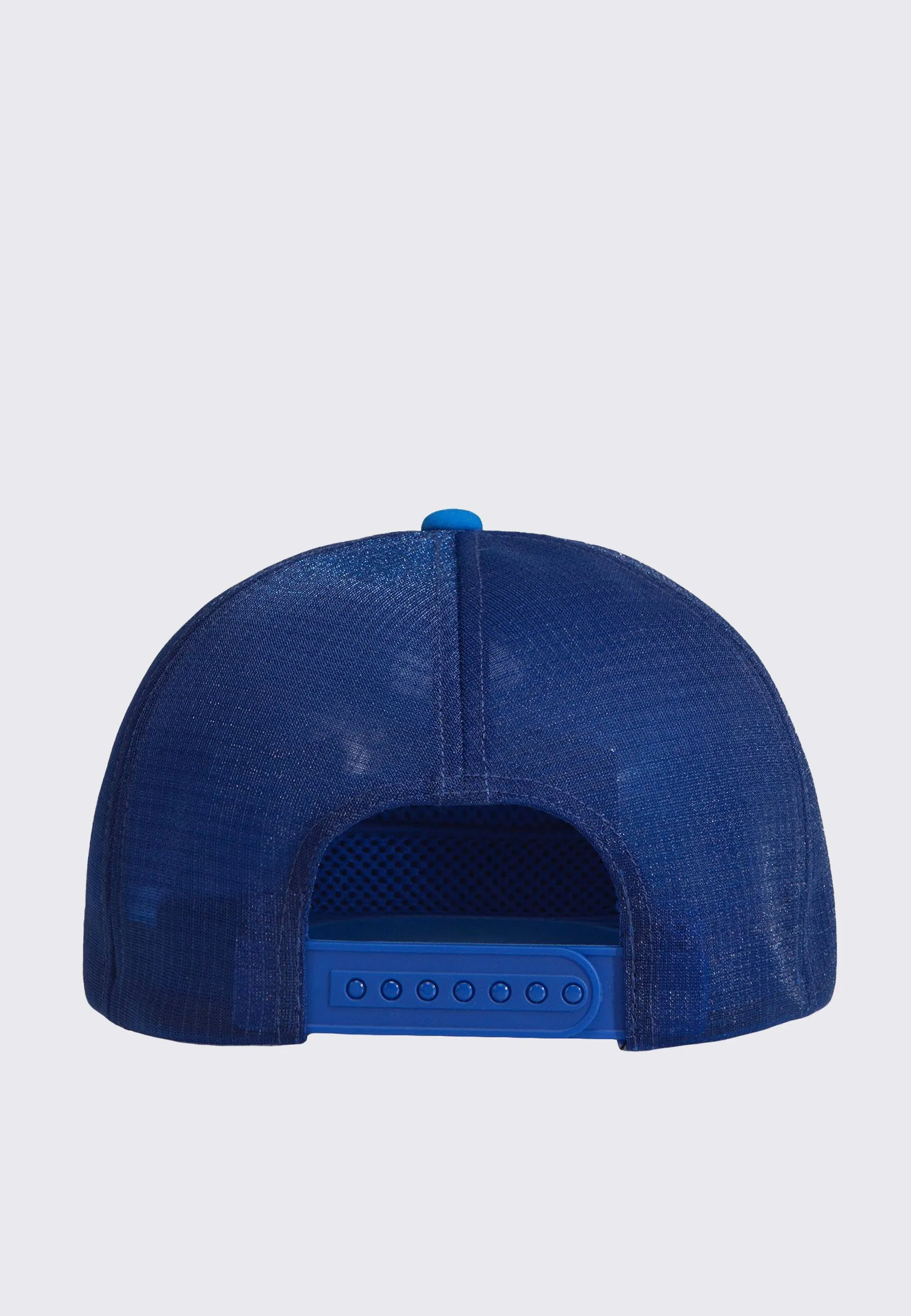 Bird Trucker Curved Cap - Fluidity